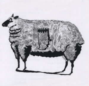 VAFF-Sheep
