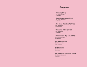 VAFF2020-Program-Pink-Inside